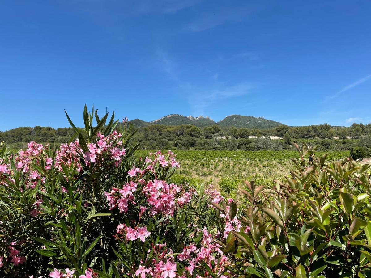 Cote Dentelles