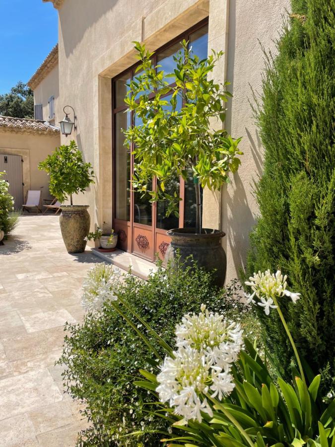 Cote Dentelles Vacqueyras